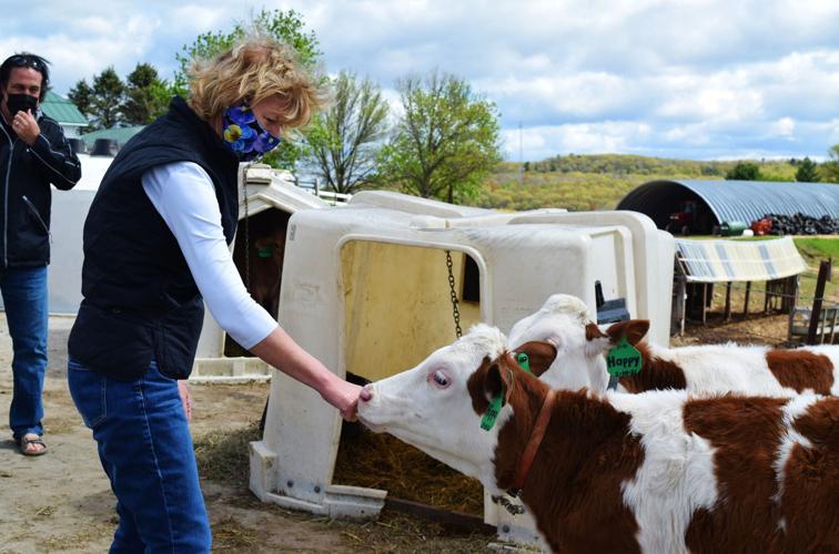 Sen. Baldwin with "Happy" & "Hippo" twin calves