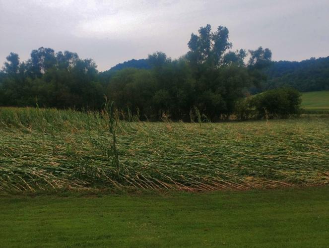 Farms damaged