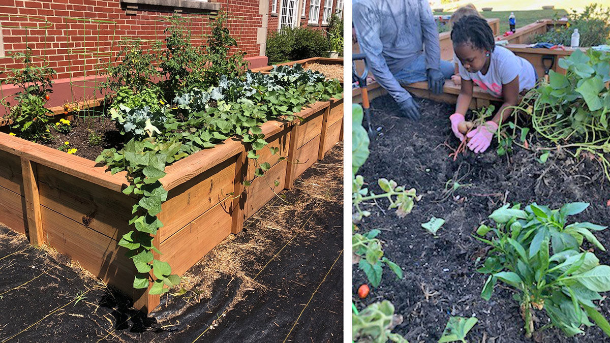 Butler County community garden