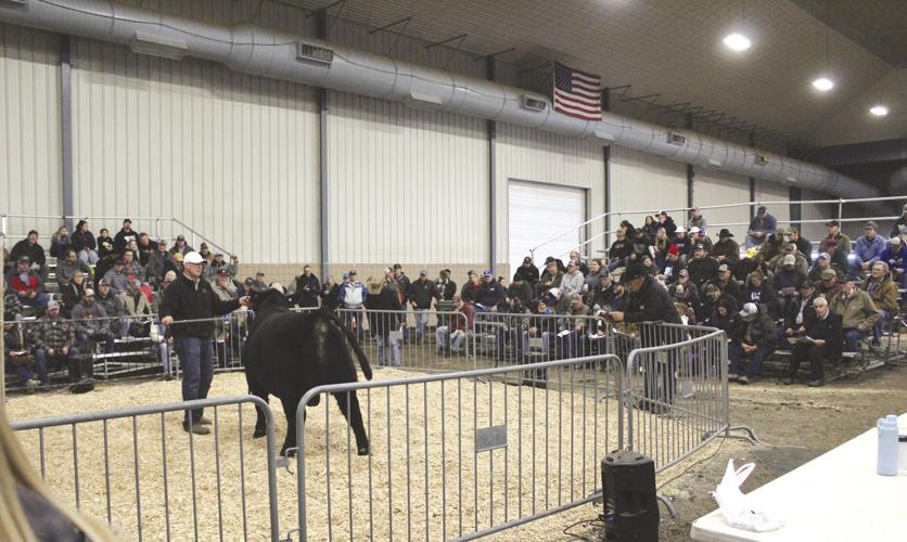 SELS 2024 (84) - worked.jpg