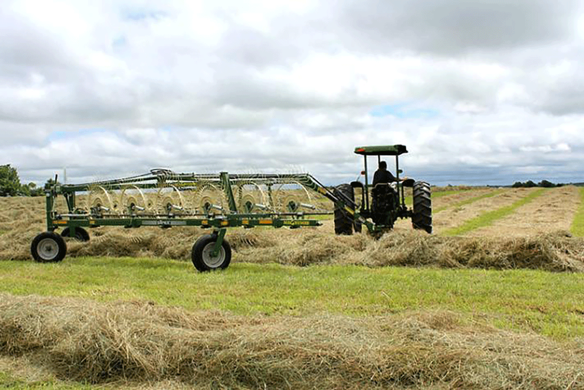 raking hay