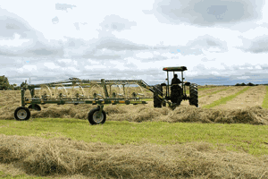 Get better hay, returns with small changes