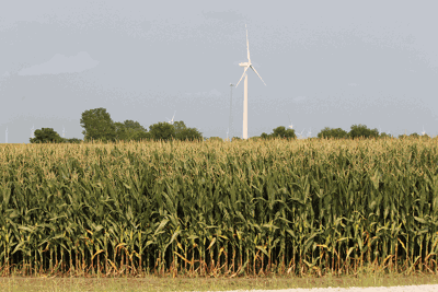 wind turbine in field