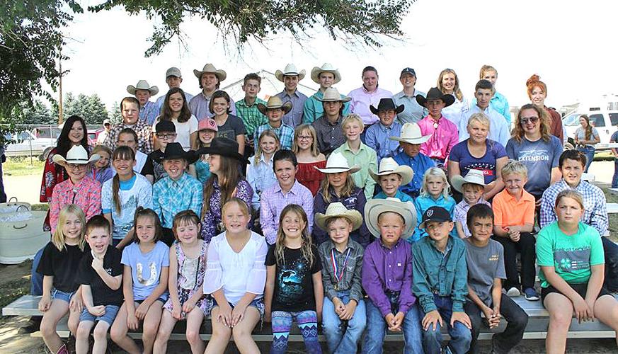 Dawson County 4H features ambassadors, showing projects, animals