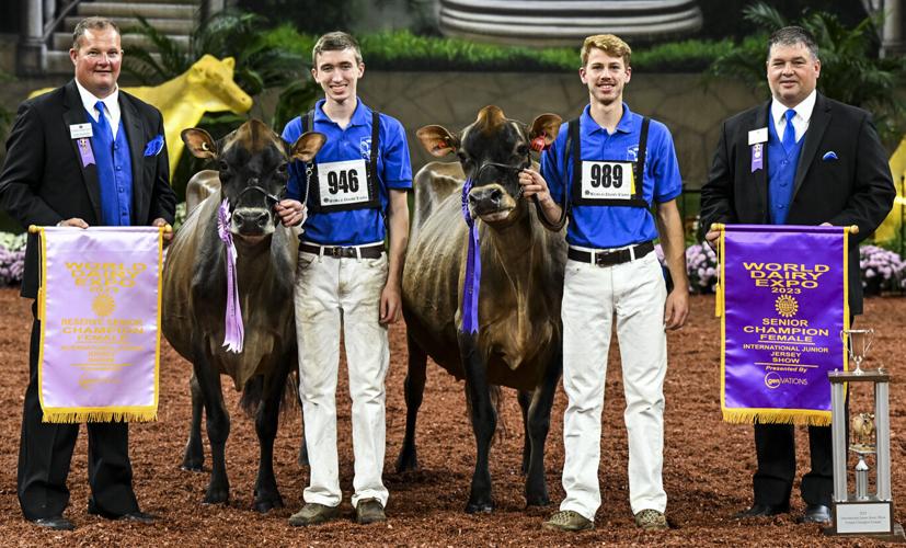 Senior champion and reserve senior champion of 2023 International Junior Jersey Show