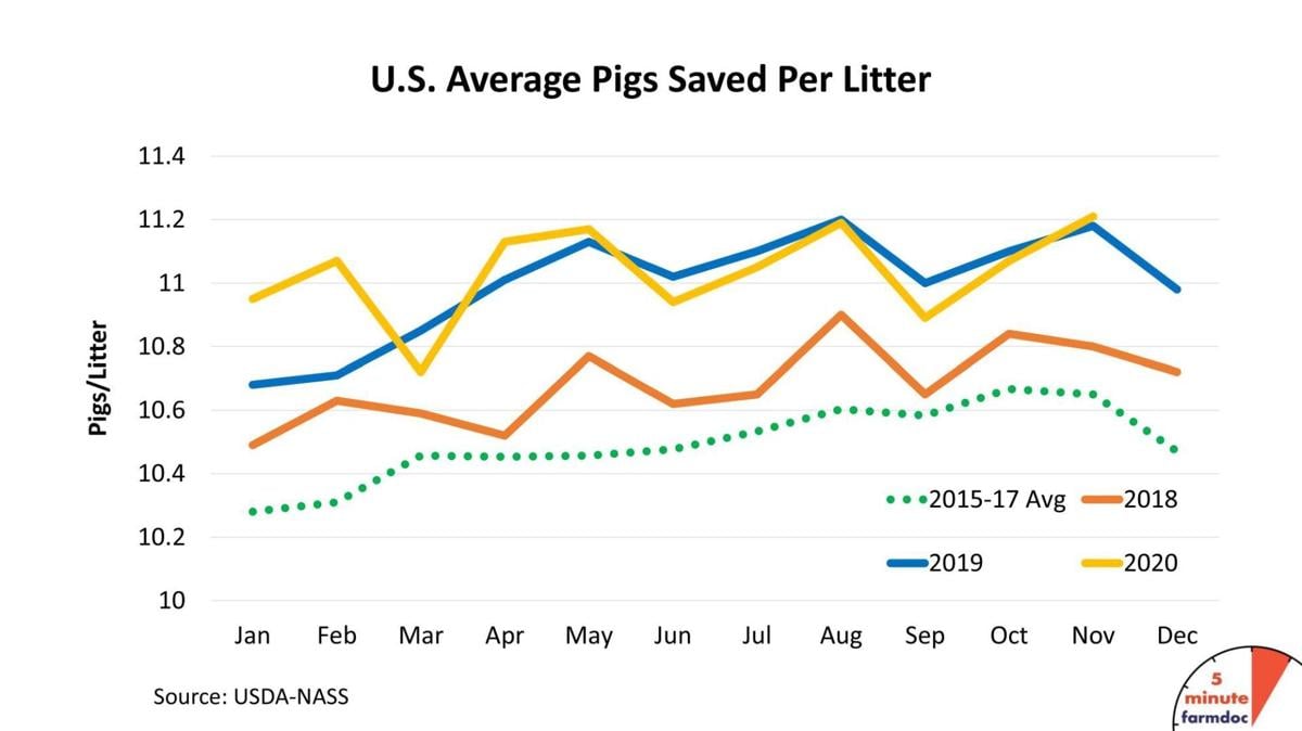 Hog estimates see significant revisions