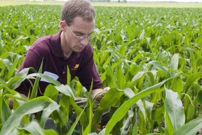 Jeff Coulter, University of Minnesota Extension Corn Agronomist