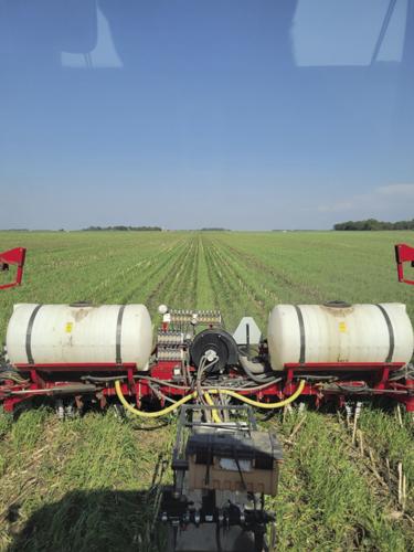 CW Tiffany 2 worked.jpg