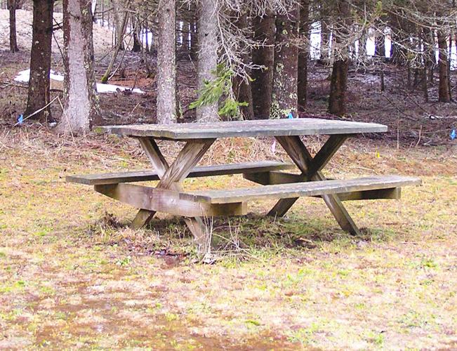 Bare picnic table