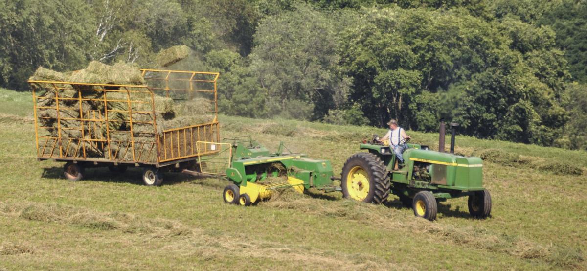 Tractor and hay