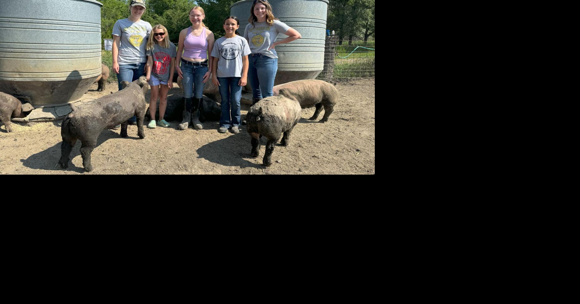 Pig project connects kids of all backgrounds with raising, showing ...