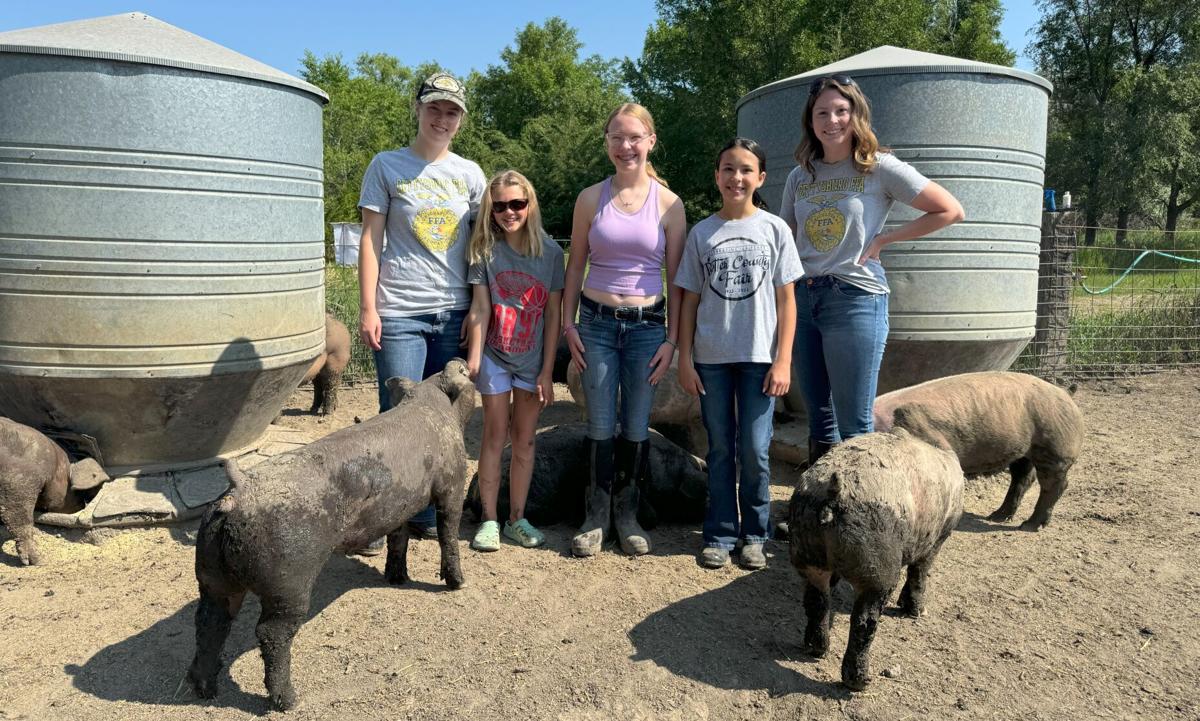 State Fair Gettysburg Pig Project 3.jpg