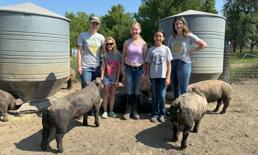 State Fair Gettysburg Pig Project 3.jpg