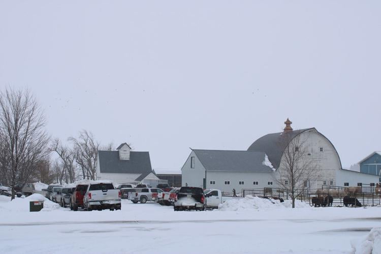 Five Pine Cattle Co. sale