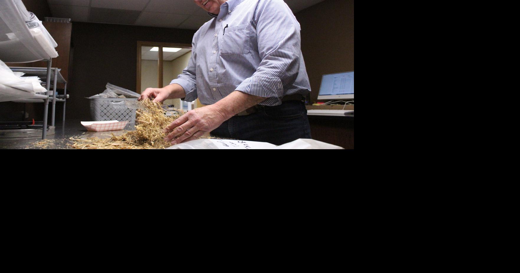 Forage lab helps dairies zero in on feed nutrition, efficiency