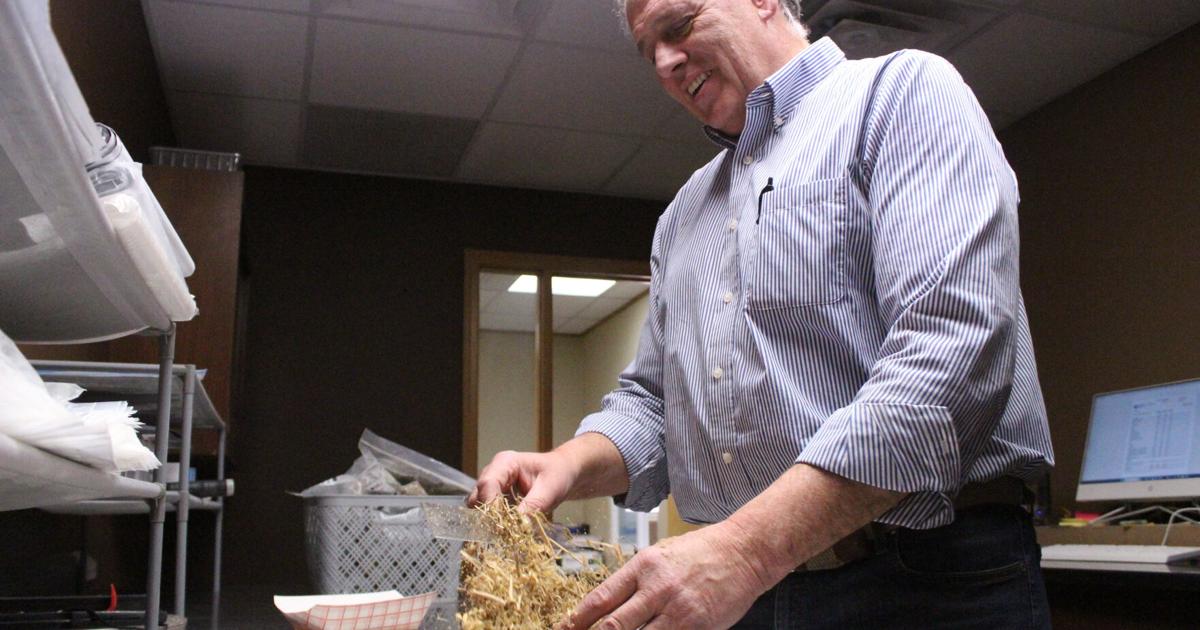 Forage lab helps dairies zero in on feed nutrition, efficiency