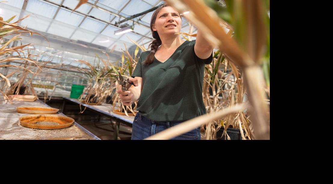 Rebecca Smith with plants