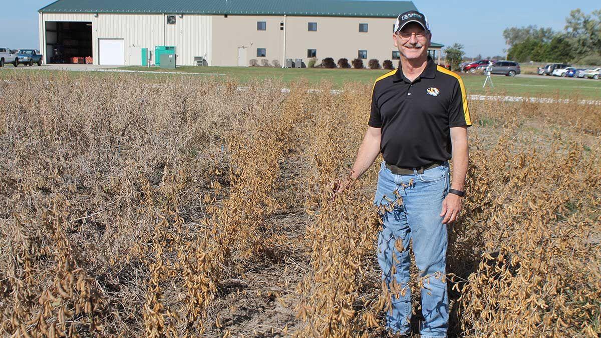 NonGMO soybeans offer niche opportunities