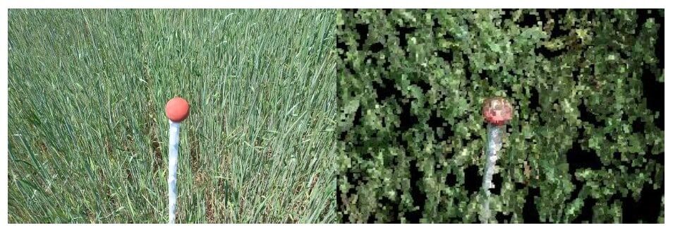 GoPro video snapshots