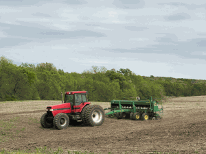 Pros and cons of popular conservation practices