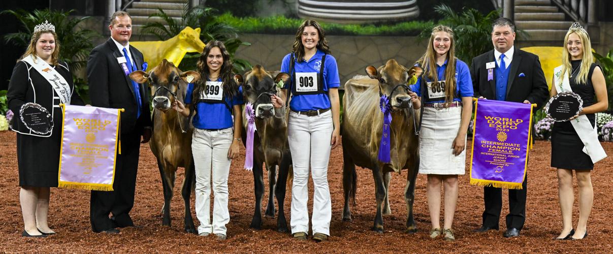 Intermediate champion female and reserve intermediate champion female of 2023 International Junior Jersey Show