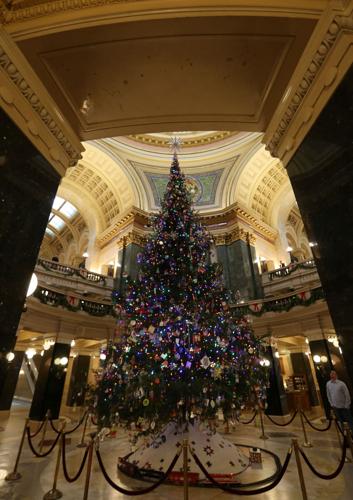 CAPITOL TREE