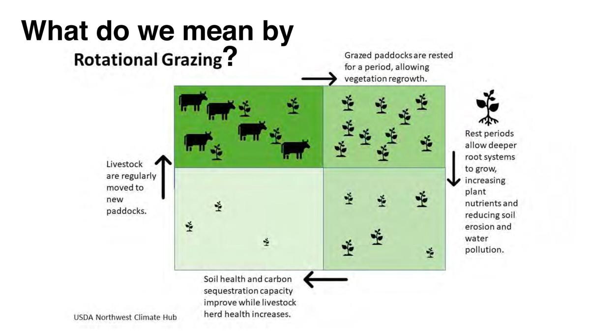 Rotational grazing basics
