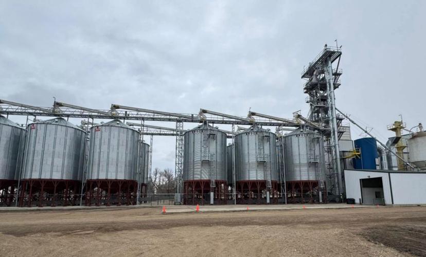 Columbia Grain Pulse Processing Plant