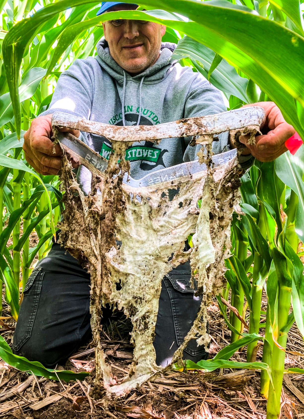 Tattered underwear means healthier soil