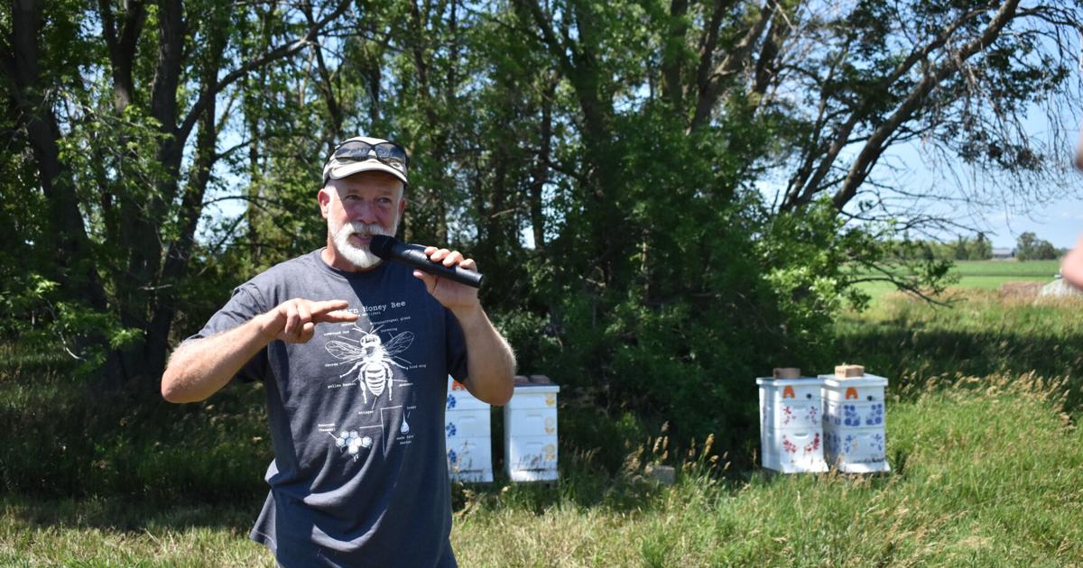 Beekeepers face losses as virus, mite resistance threaten honey industry