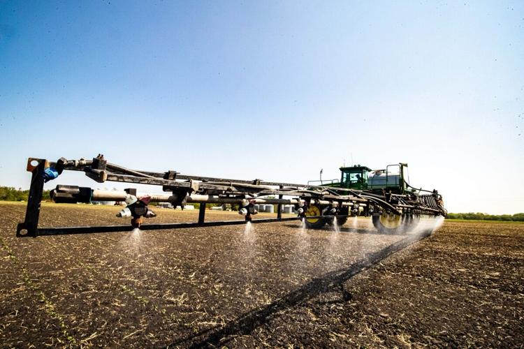 Spraying time