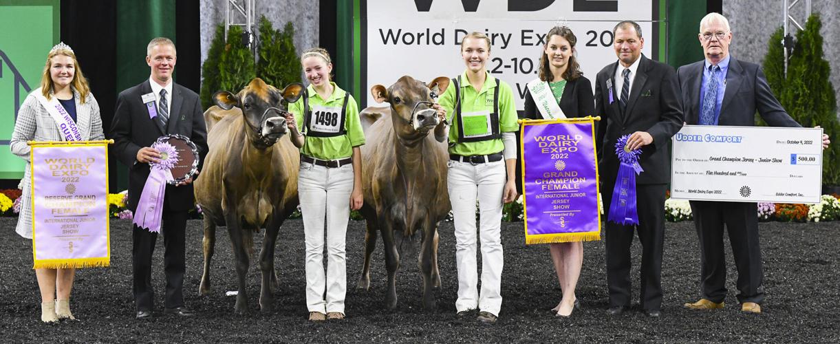 Grand champion and reserve grand champion females of 2022 International Junior Jersey Show