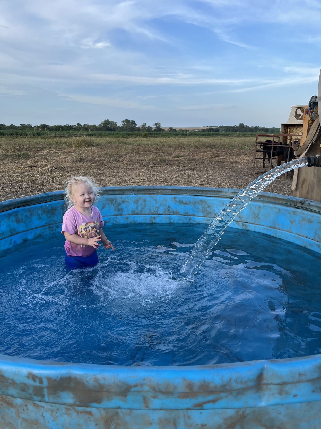 Down on the Farm 2.jpg