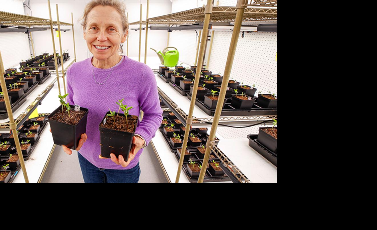 Linda Kinkel holding plants