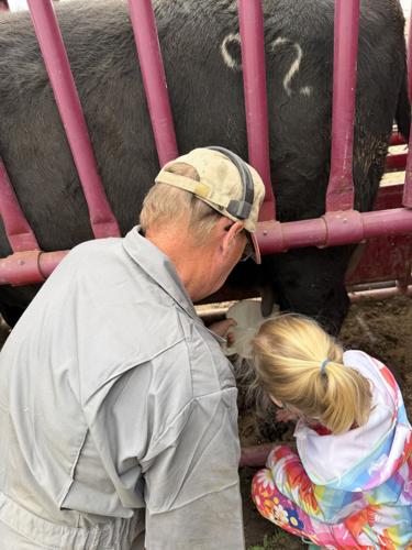 Down on the Farm 2.JPG