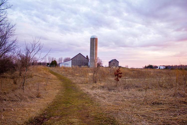 Farm in twilight