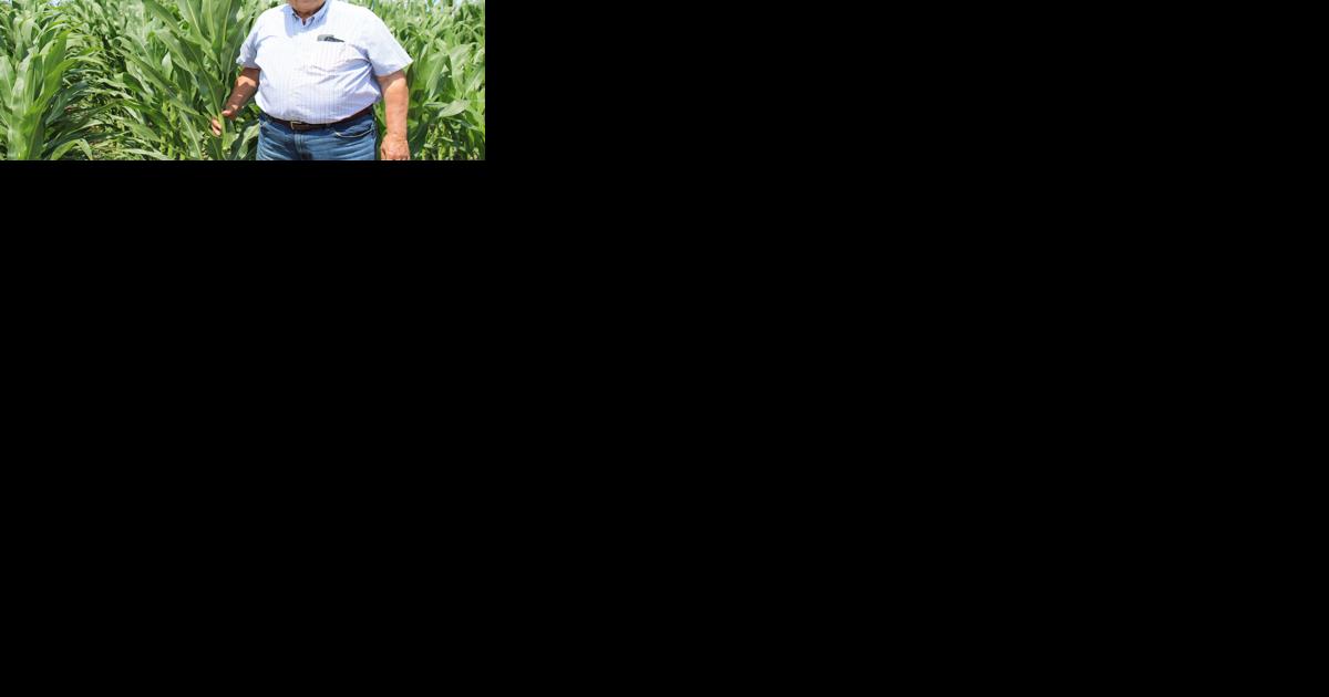 South Dakota farm income predicted to fall, but farmers remain optimistic - Vimarsana News