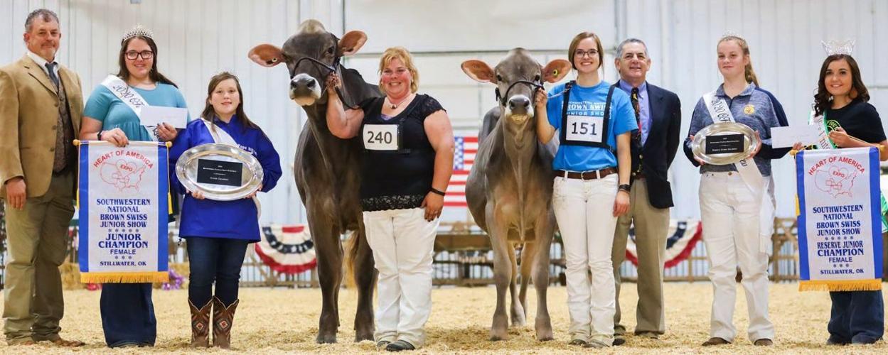 2020 Southwestern National Brown Swiss junior show grand champion and reserve grand champion