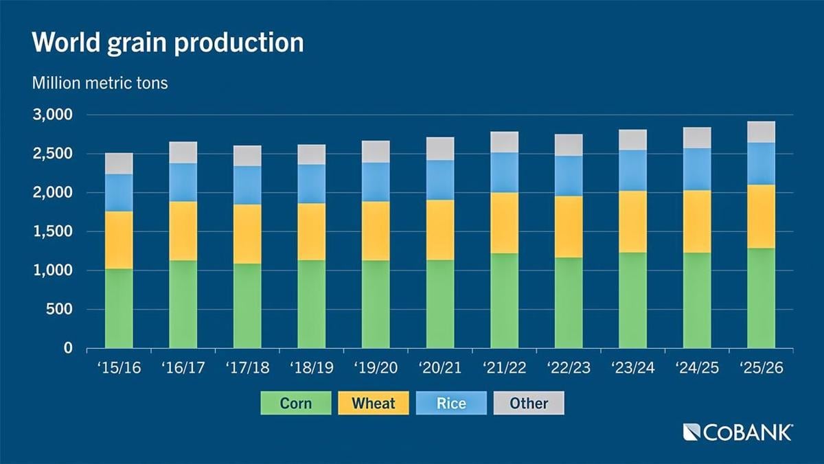 World grain production