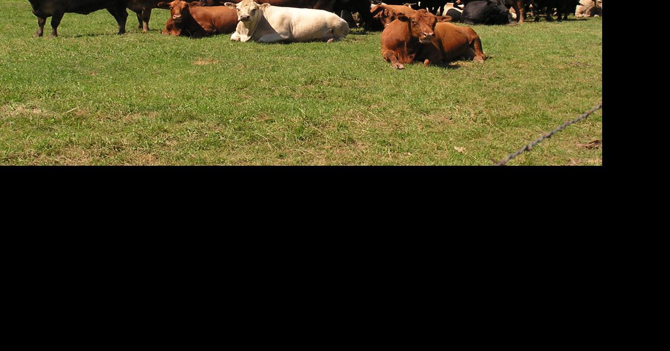 From the Fields: Jason Maloney