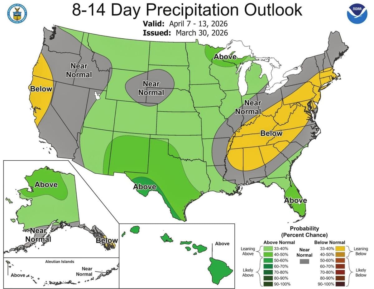 Precip outlook