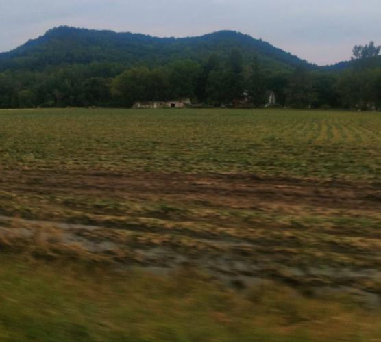Farms damaged