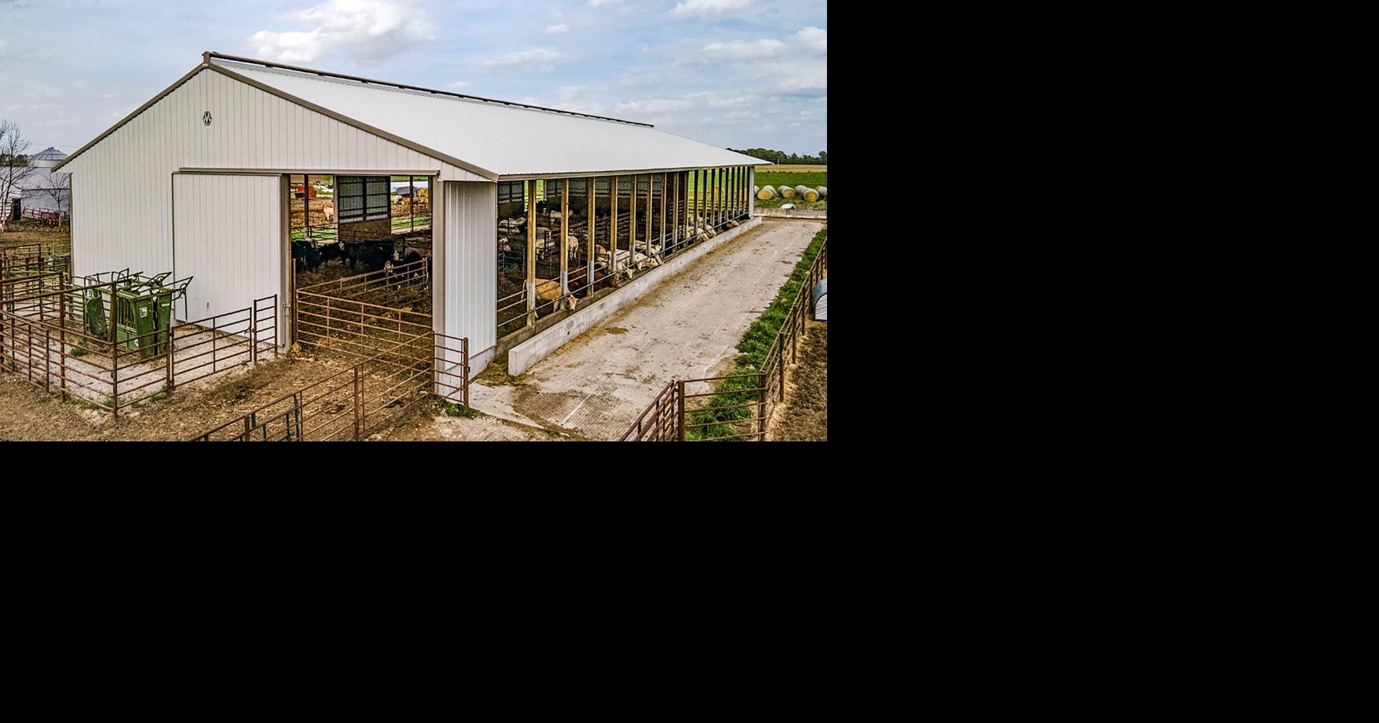 Calving barn