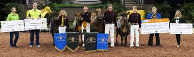 Supreme champion and reserve supreme champion cows and heifers, 2023