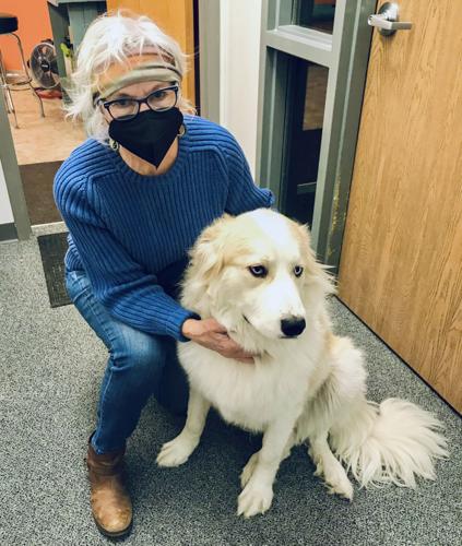 Cottrell with patient Great Pyrenees