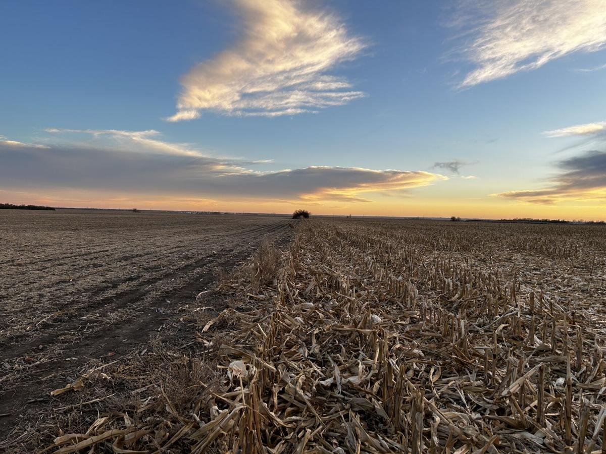 Soil Health (71).jpg