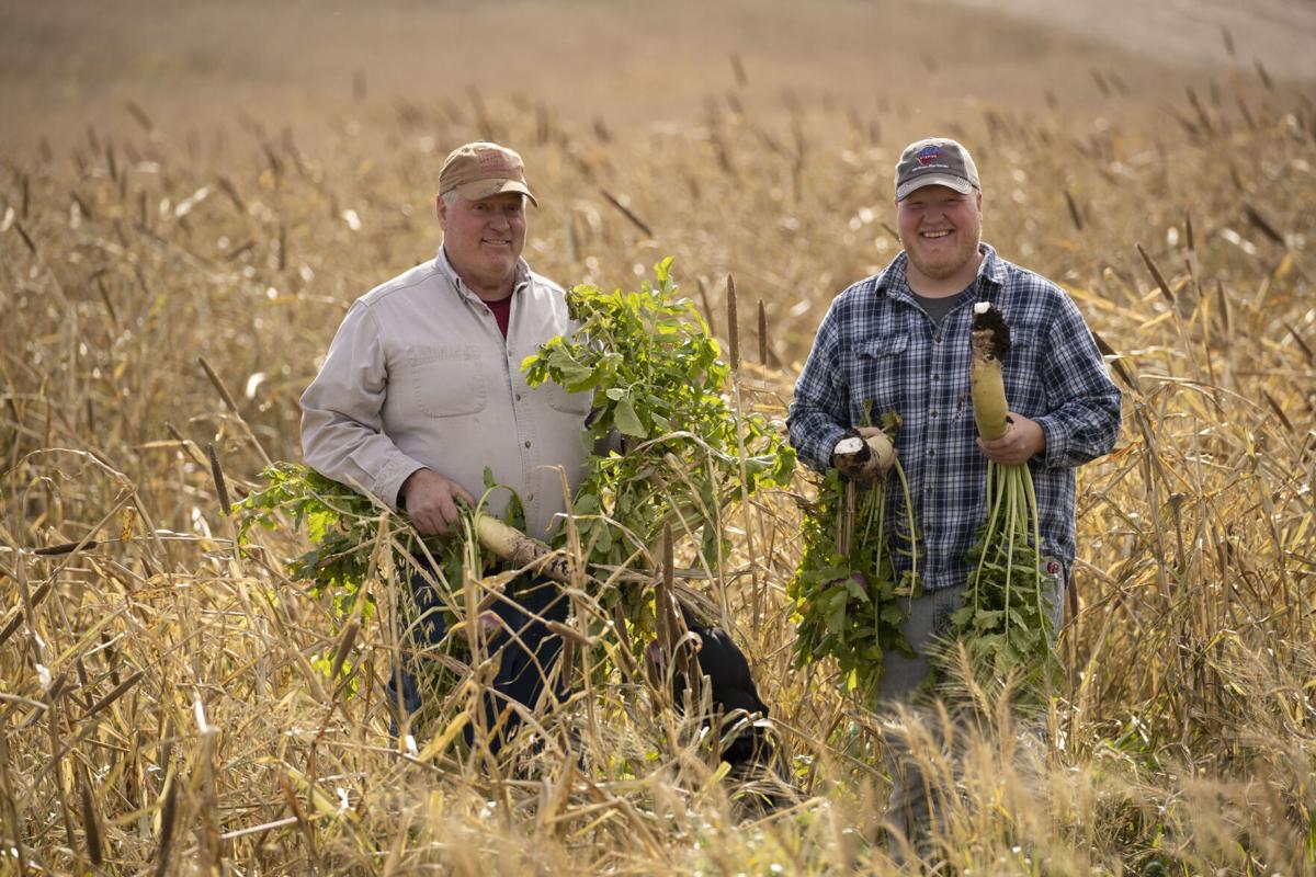 Regenerative next generation 1.jpg