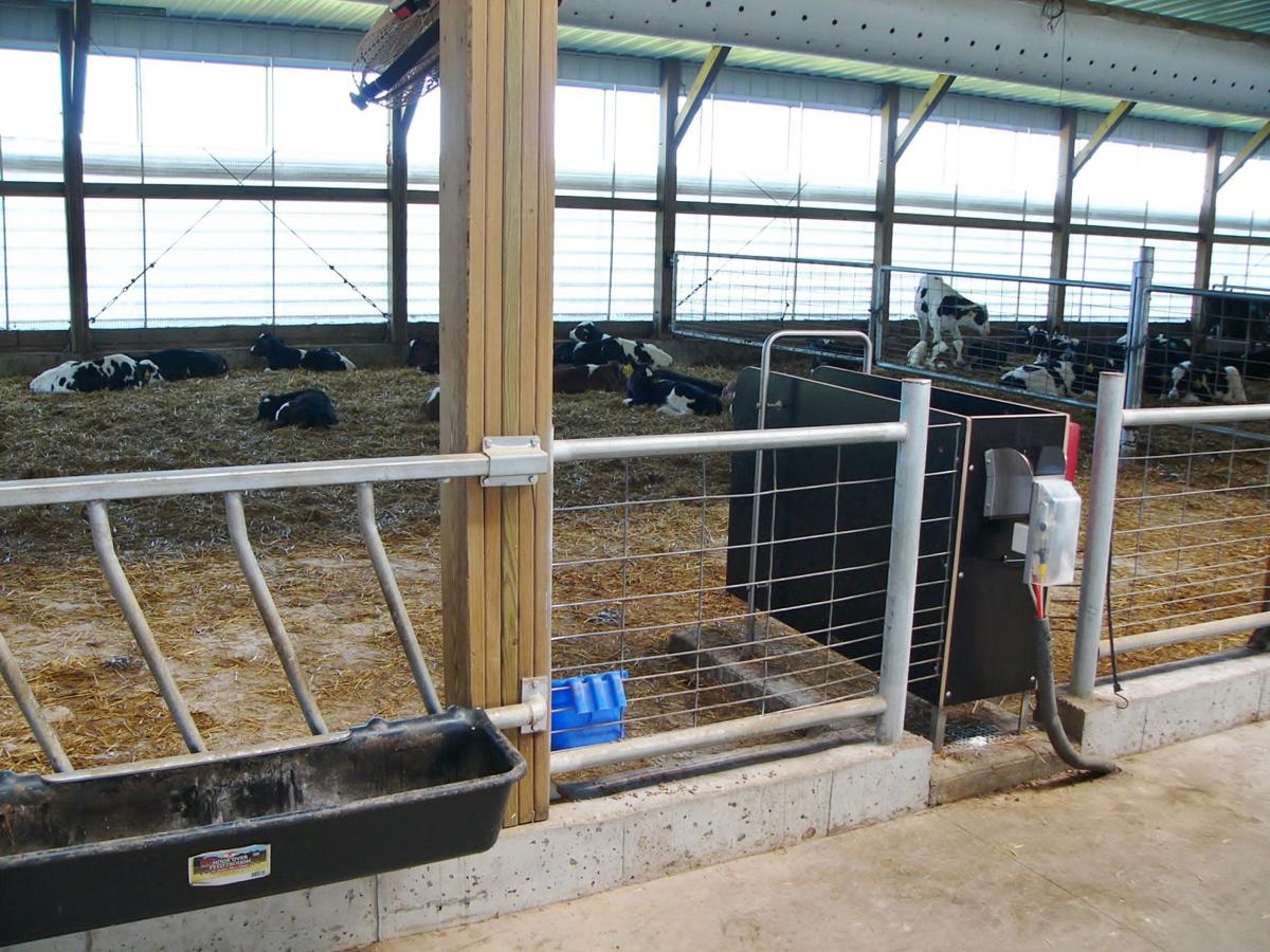 Automation Edging Out Traditional Feeding Agupdate Com