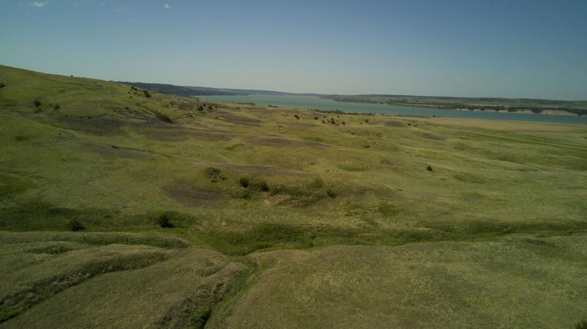 Totton ranch