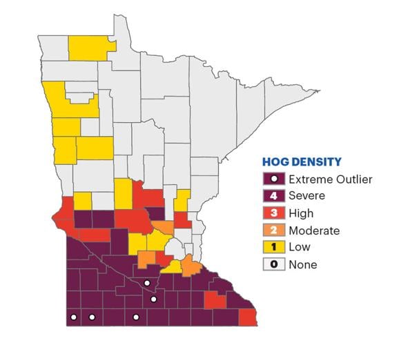 Minnesota hogs 2.jpg